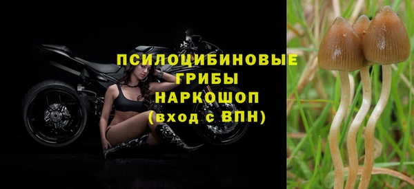 сатива Сафоново